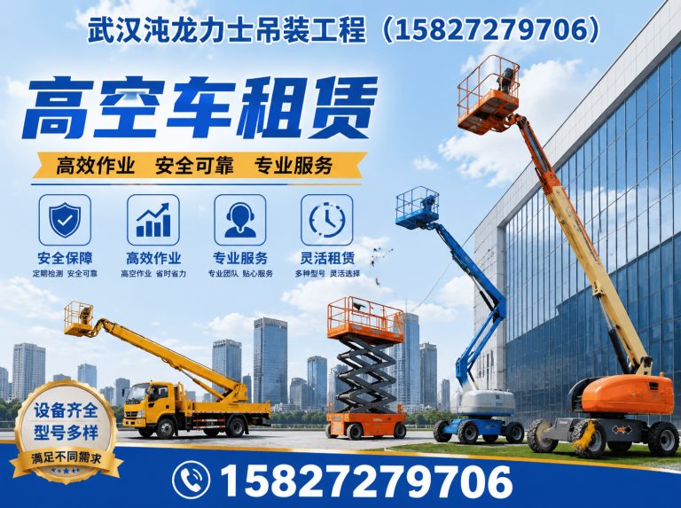 洪山区武汉沌龙力士吊装工程展示图
